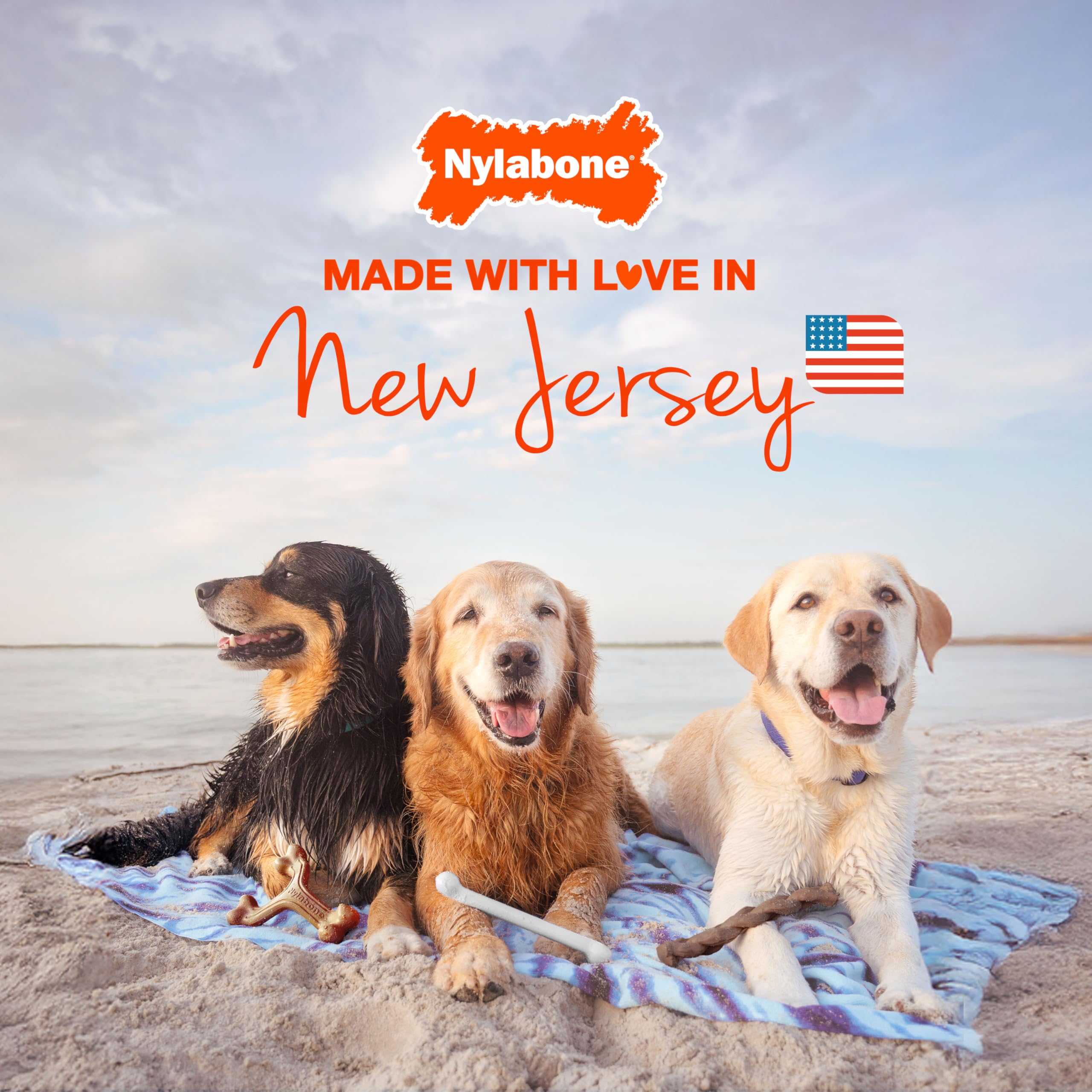 Nylabone Healthy Edibles Natural Dog Chews, Long Lasting Bones for Dogs, Roast Beef, Chicken & Bacon Flavor Dog Treats, Small (3 Count)